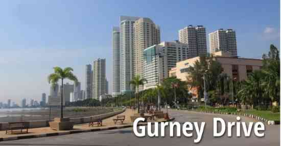 Gurney Property