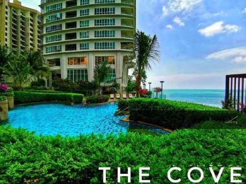 The Cove Condo